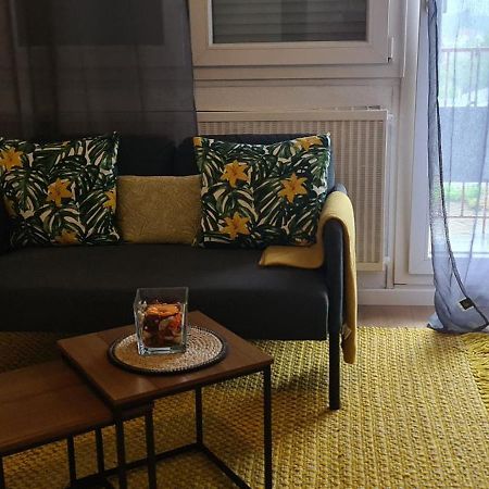 Studio Kulla Avec Terasse 5Mn Basel Airport Сен-Луи Экстерьер фото