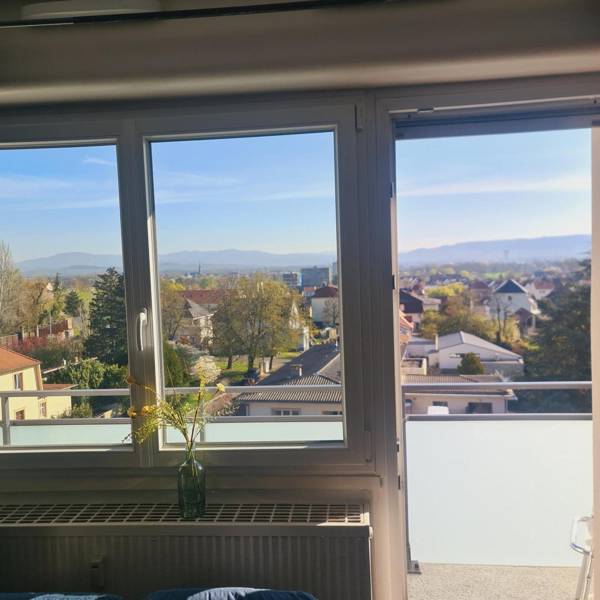 Studio Kulla Avec Terasse 5Mn Basel Airport Сен-Луи Экстерьер фото