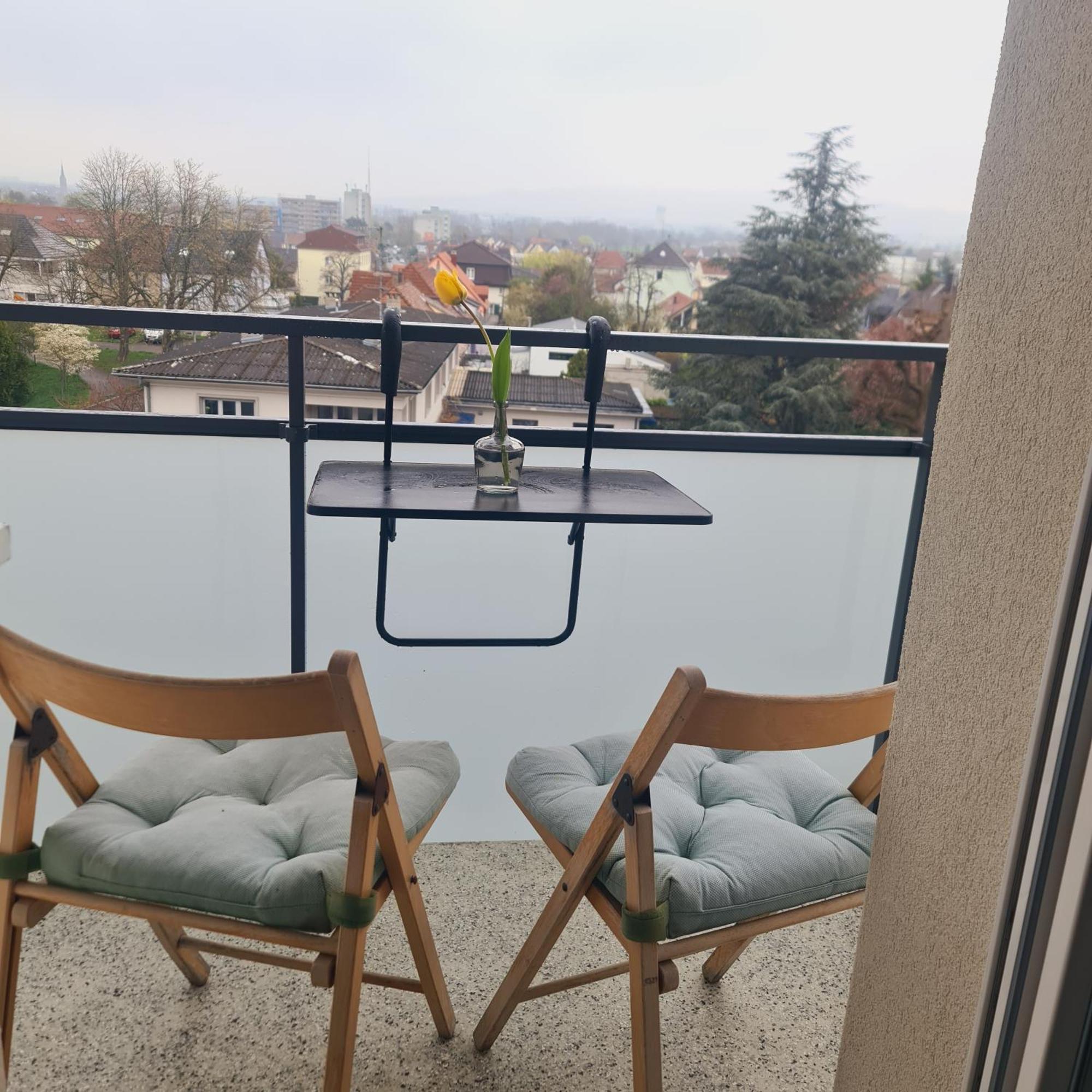 Studio Kulla Avec Terasse 5Mn Basel Airport Сен-Луи Экстерьер фото